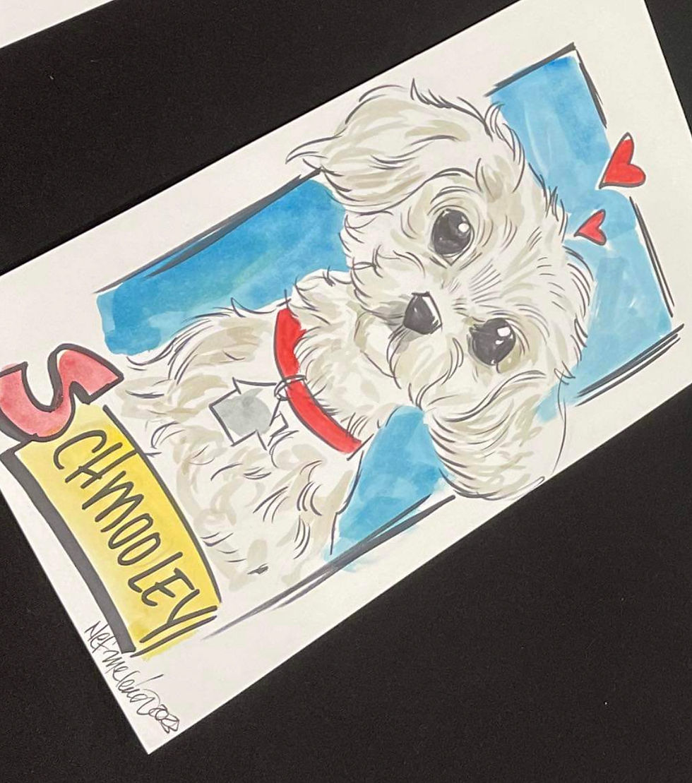 Pet Caricatures