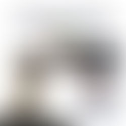 Pigmentos oculares “ocultos”: um mal dos cães de focinho curto