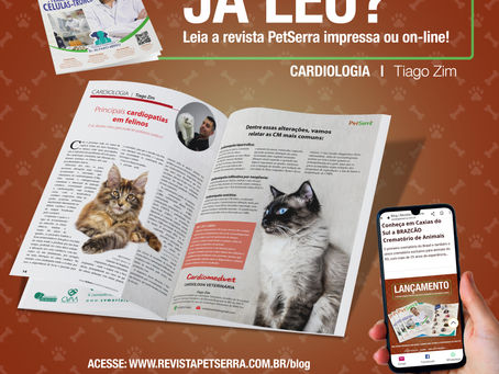 Principais cardiopatias em felinos