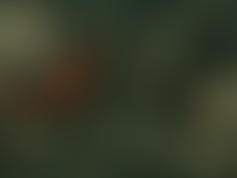 Vegans, Meet the Elephant in the Freezer