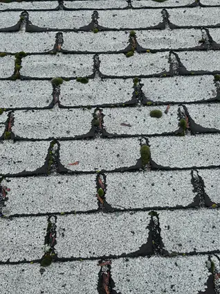 Should I Remove Moss From My Roof This Spring? A Spokane Homeowner’s Guide
