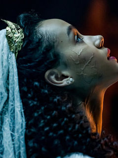 VAMPIRE SH*T FOR THE AGGRESSIVELY UNSERIOUS VAMPIRE CHICK