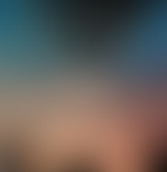 The Radiant Dark Book Review