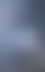 The Cold Visitor Book Review