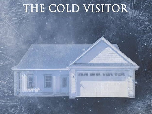 The Cold Visitor Book Review