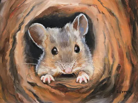 How the Mouse Got Big Ears