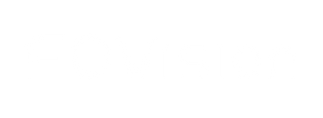 fovision-03.png