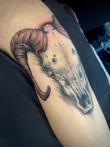 Ram skull tattoo
