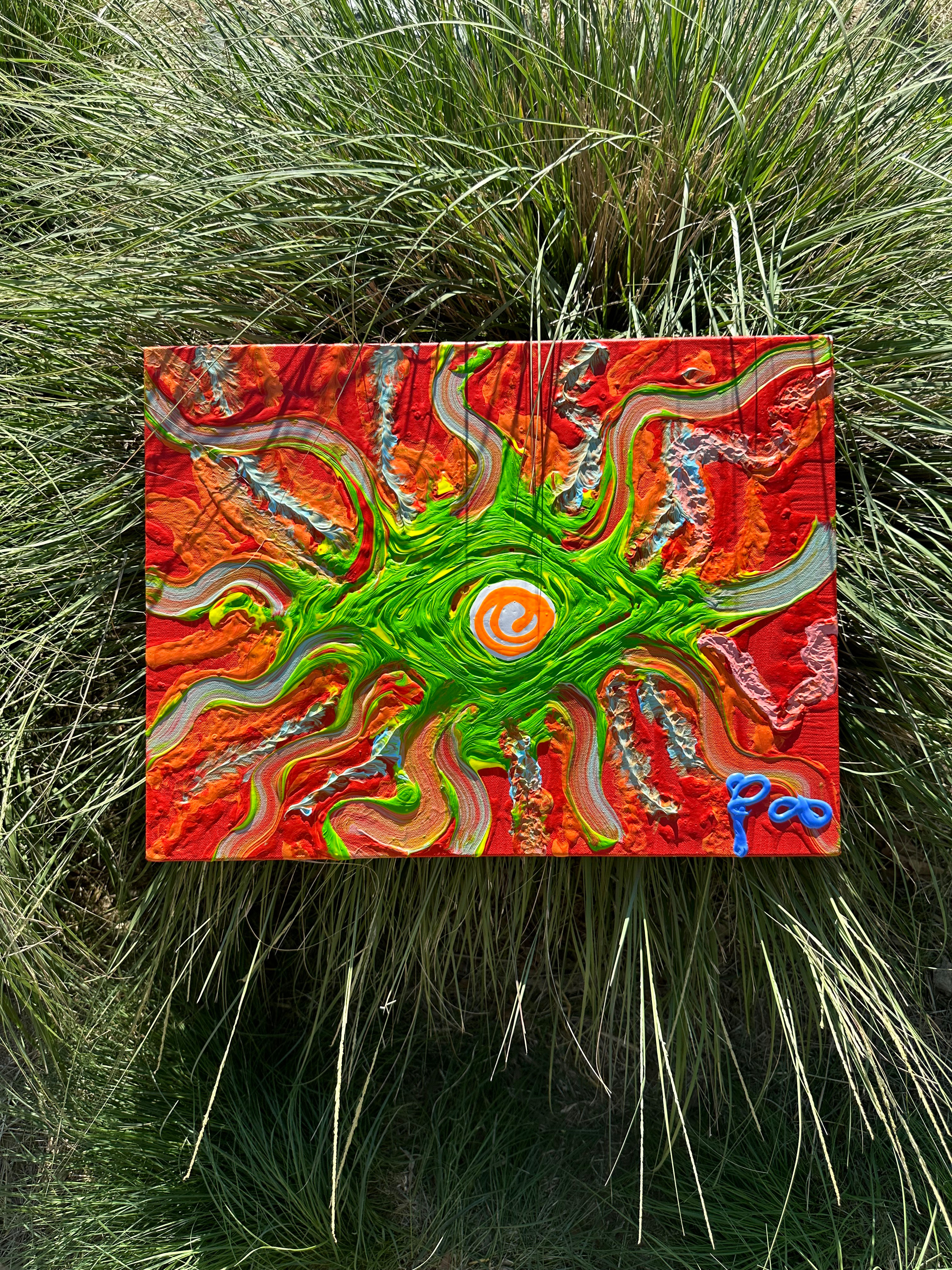 "The Bella Eye" 2023