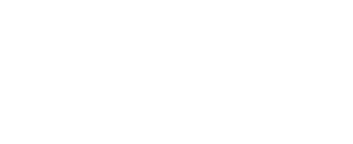 Solar Light Company Logo White