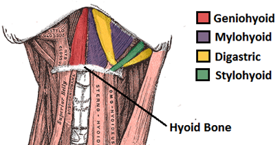 Why delay a frenotomy (tongue tie release)?