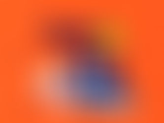 제주혼듸독립영화제2024 개막작(제주신작)