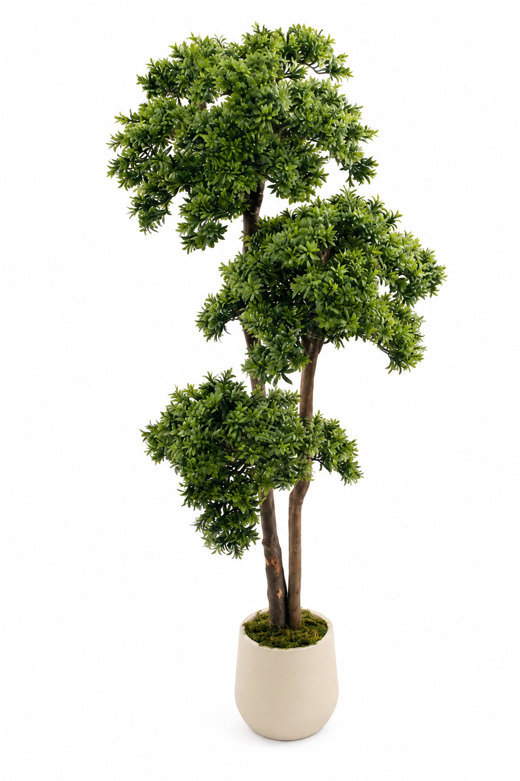 Artificial Podocarpus Plant 160cm