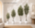 E1A5851F-34B0-42C8-85BA-F8B51DDFAD84.PNG