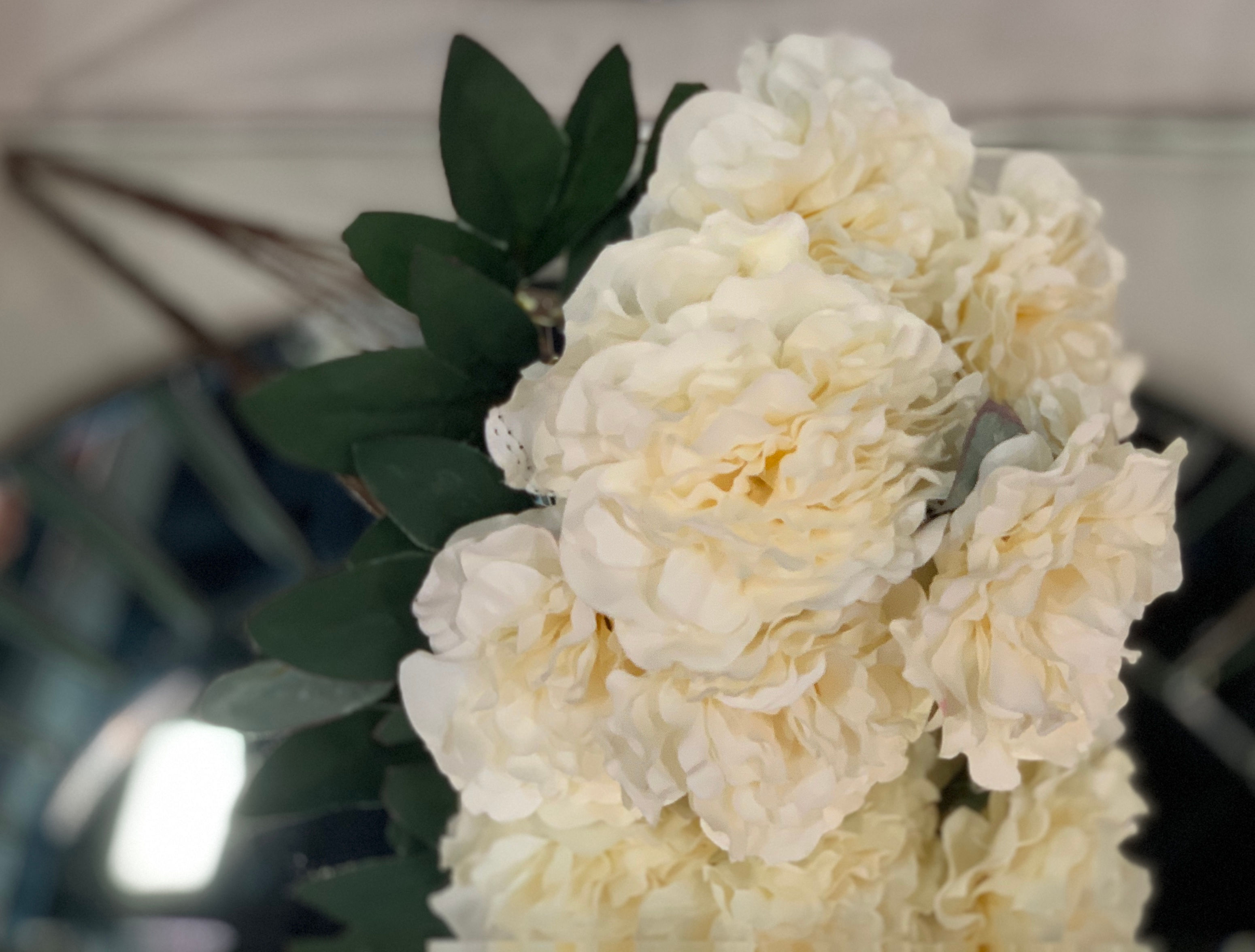 Ivory White Blossomed Peony Bunch