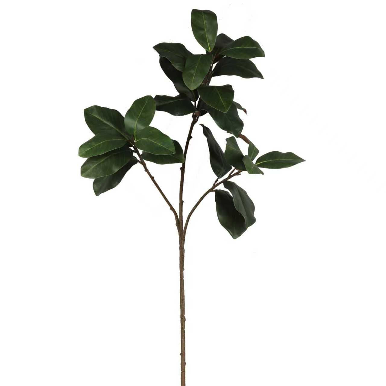 Magnolia Leaf Stem Large 140cm