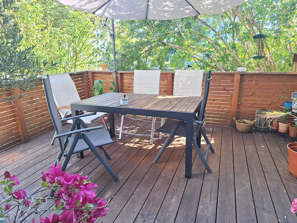 Holterrasse_Douglasie