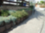 PICT0311