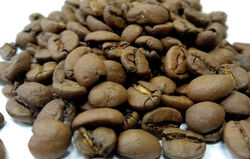 Brazil Cerrado Santos Mitsui