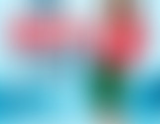 Una Roberta a Parigi, la più italiana delle Parigine.