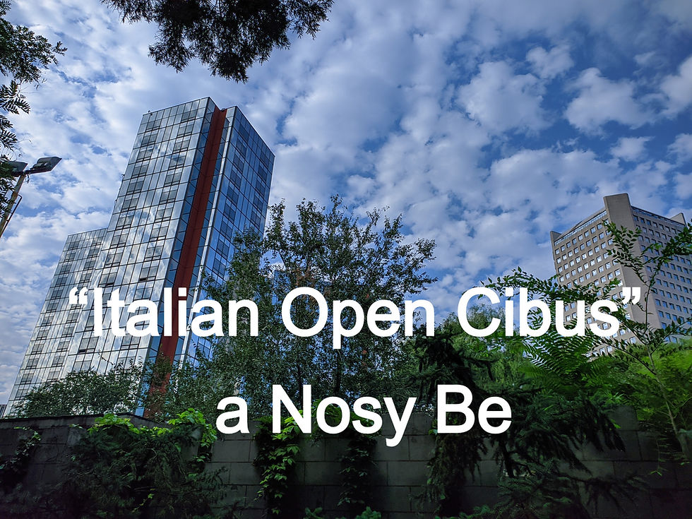 NOSY BE – “Italian Open Cibus” a Nosy Be, in Madagascar. Una settimana di eventi (25-30 luglio) – con il patrocinio della Camera di Commercio Italia-Madagascar e del Consolato Onorario Italiano di Nosy Be – dedicata alla promozione della formazione nel campo della ristorazione e dei prodotti italiani, che prevede, tra i progetti, la realizzazione di un centro di formazione professionale per i giovani nel settore ristorativo/alberghiero.