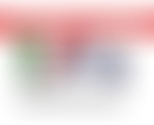 Tel Aviv: riunita la Commissione pensionati del Comites