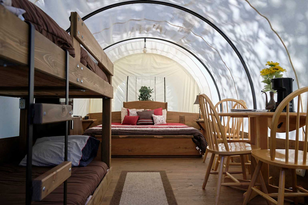 COVERED WAGONS | Truewest