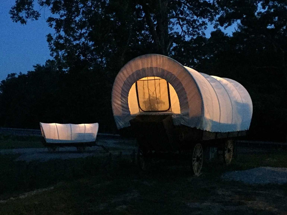 COVERED WAGONS | Truewest
