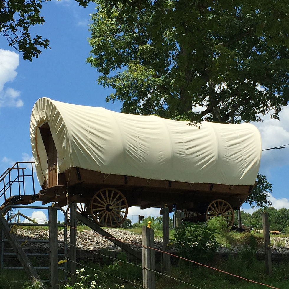 COVERED WAGONS | Truewest