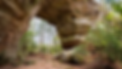 Big South Fork Arches.png