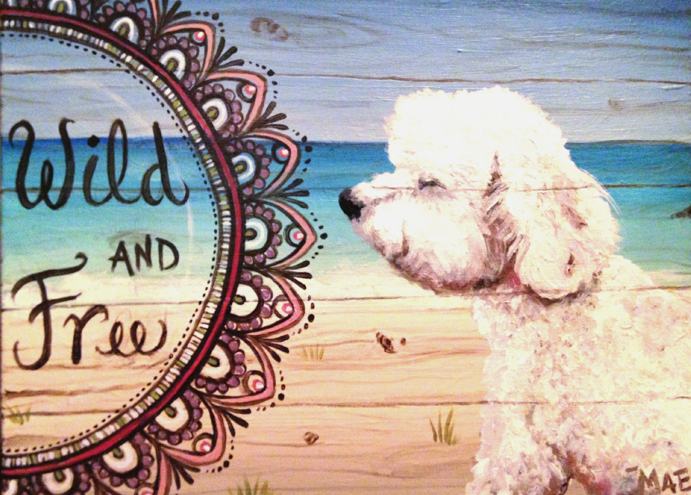 BEACH DOG
