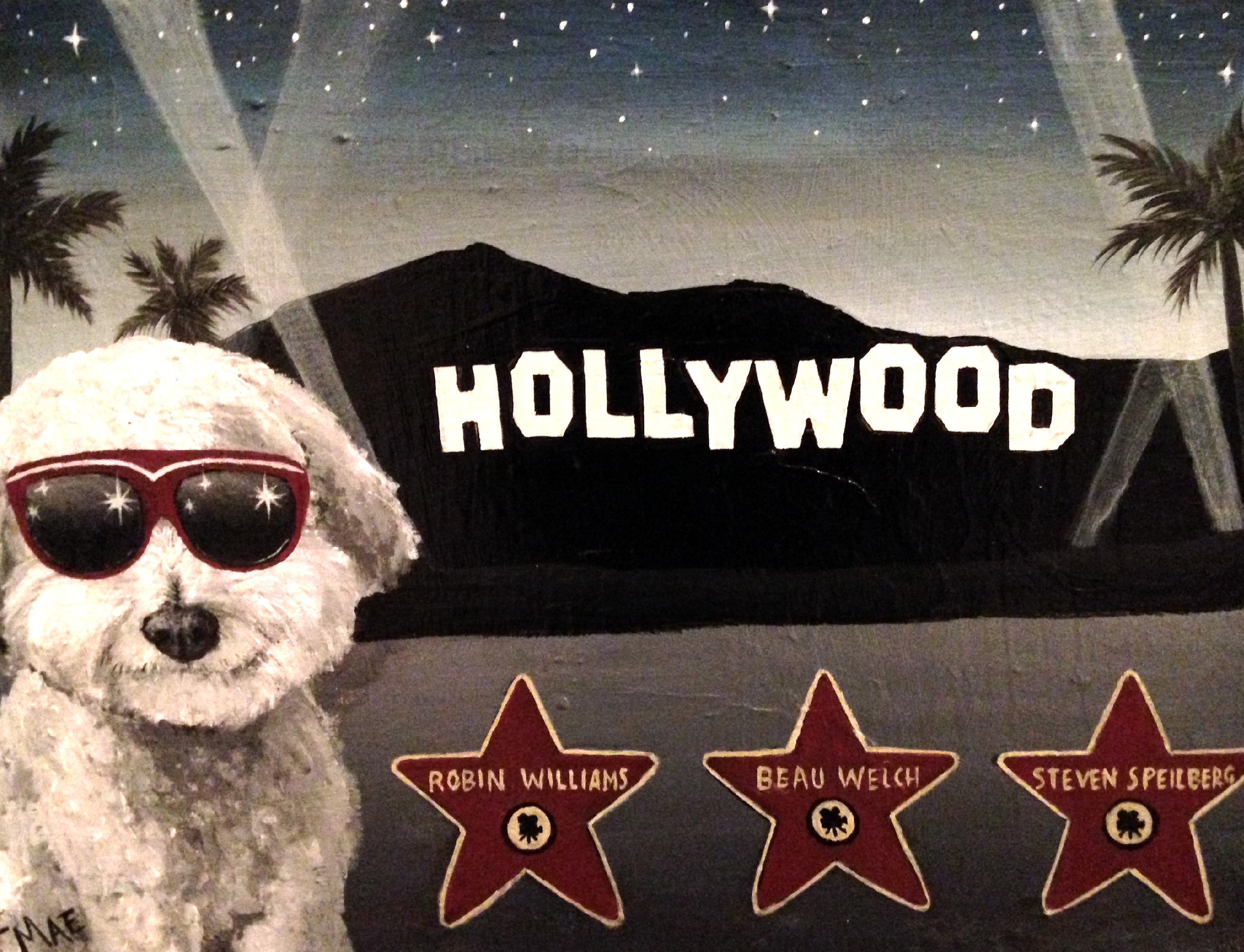 HOLLYWOOD DOG