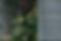 HEXAGONAL.jpg