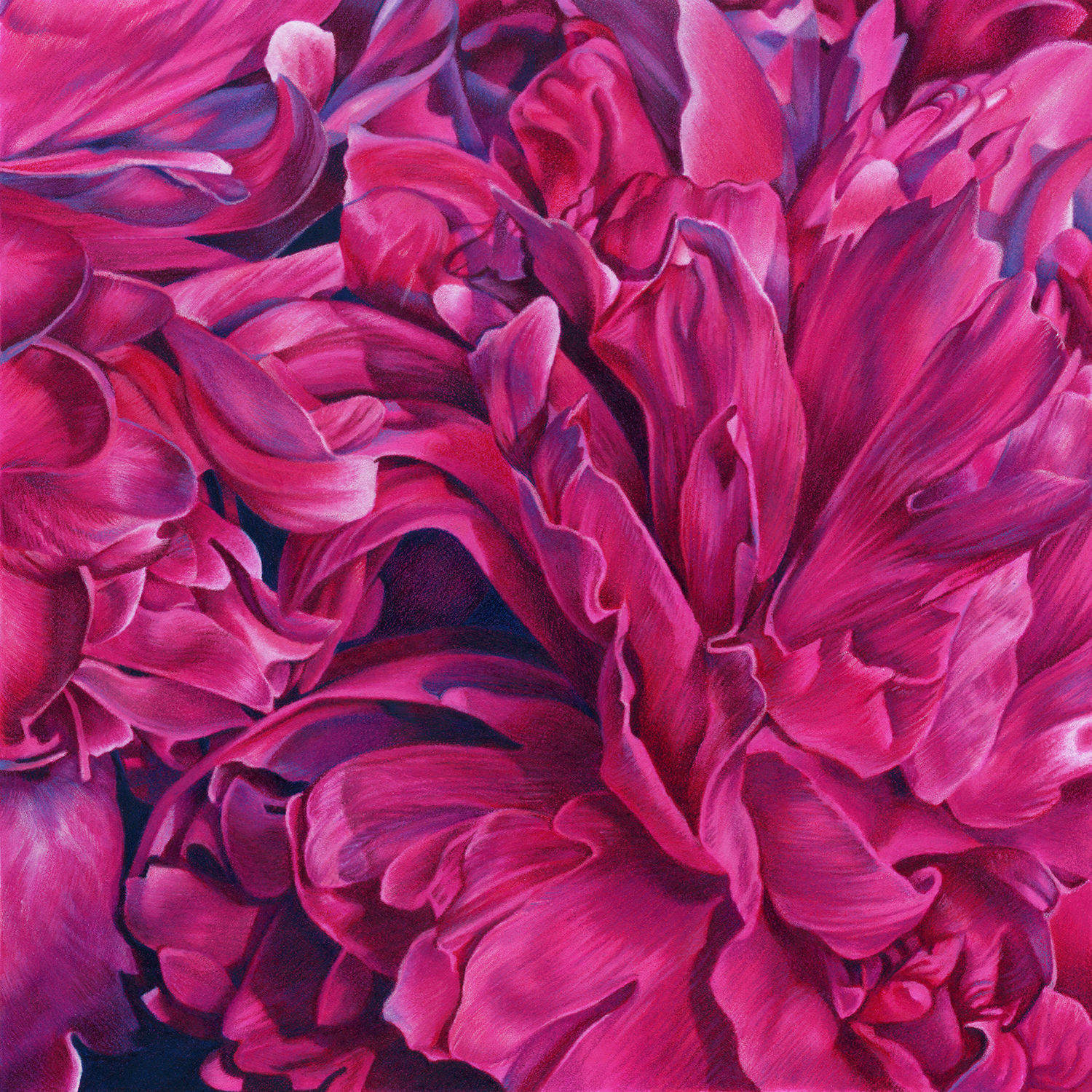 "Peonies"