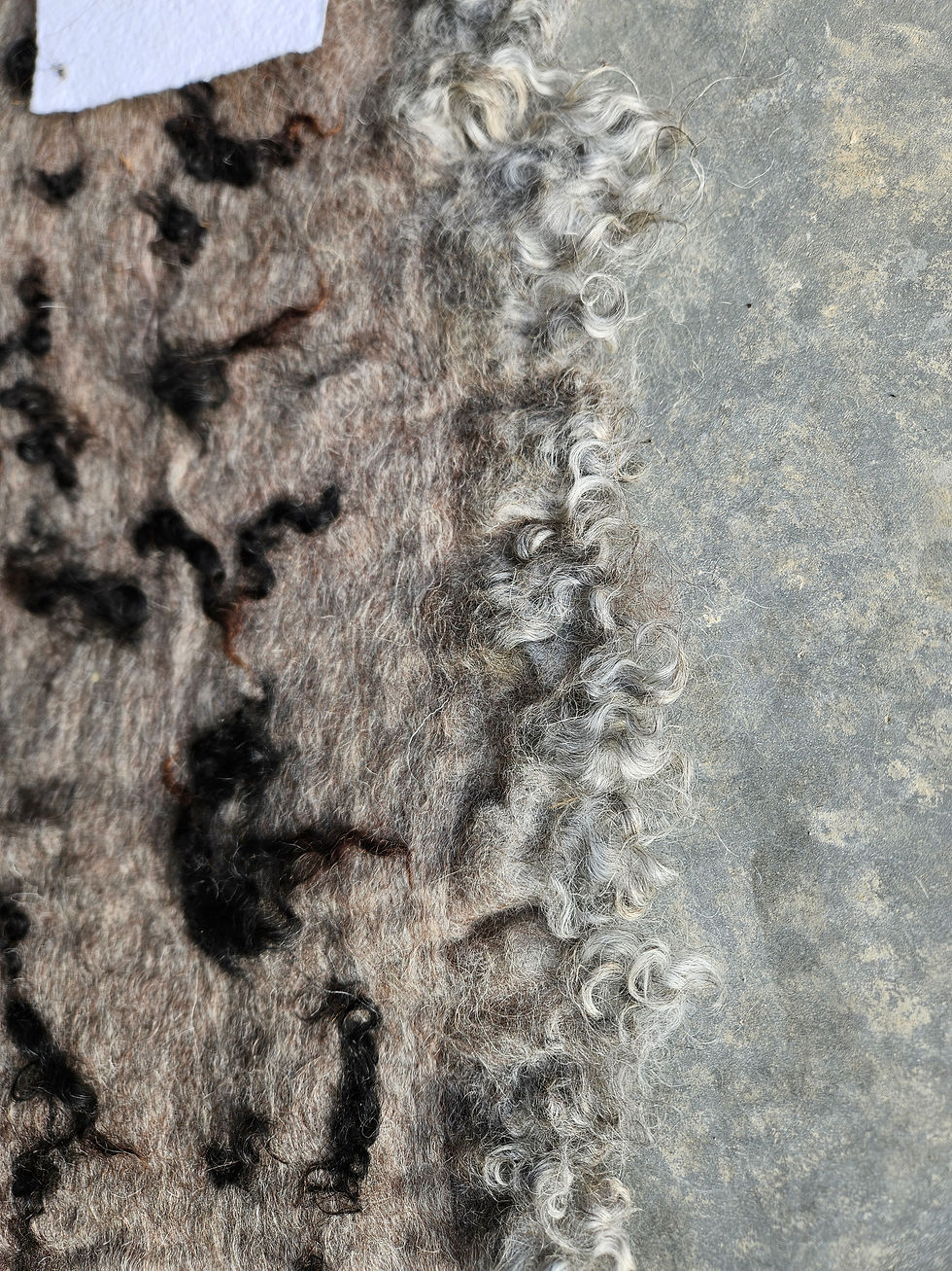 Thumbnail: Gotland & BFL Wool Blend with Gotland Locks
