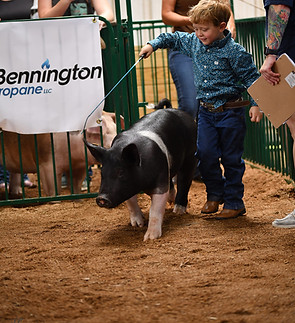 481781109_945437524461228_81189538504919