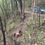 Thumbnail: MARLBOROUGH & WEST COAST