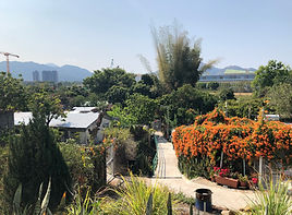 20210217_152956 (2).jpg