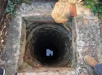 20210217_152956 (2).jpg