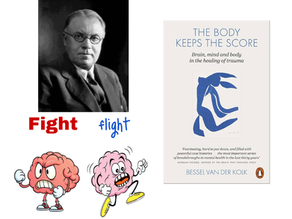 Mobility in Sport: Beyond Flexibility and Into Function (Part 2: Fight or Flight & Sensory Receptors)