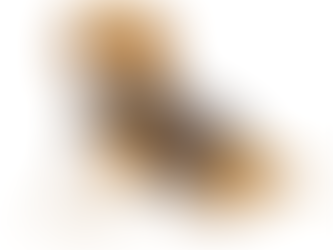 Fireworks, Your Dog, Your Cat & Safety on the 4th of July!