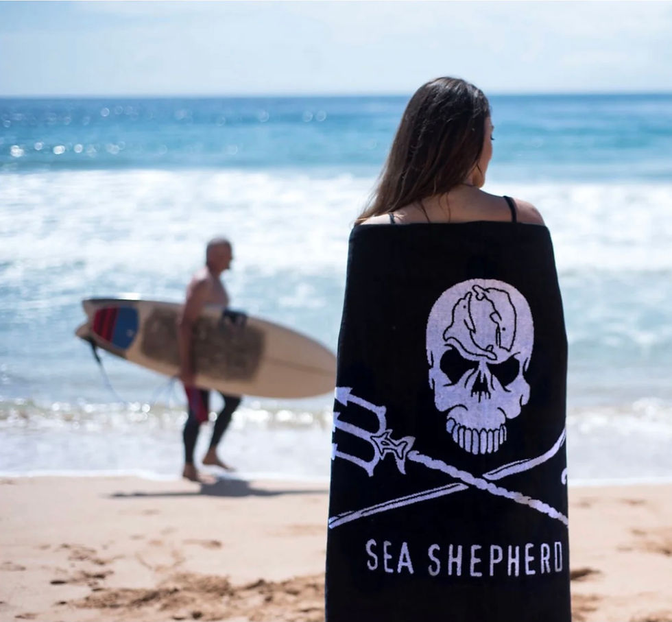 Jolly Roger Towel