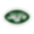 New York Jets Icon