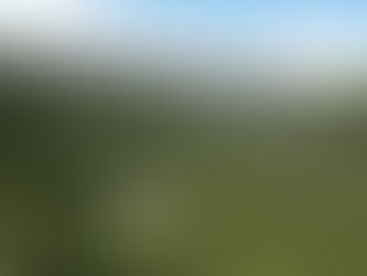 The Green Wall: Why the best of the coast is inland