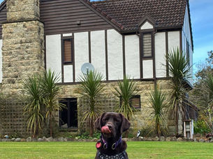 Beyond the Screen: Lessons from the Socialdog Retreat