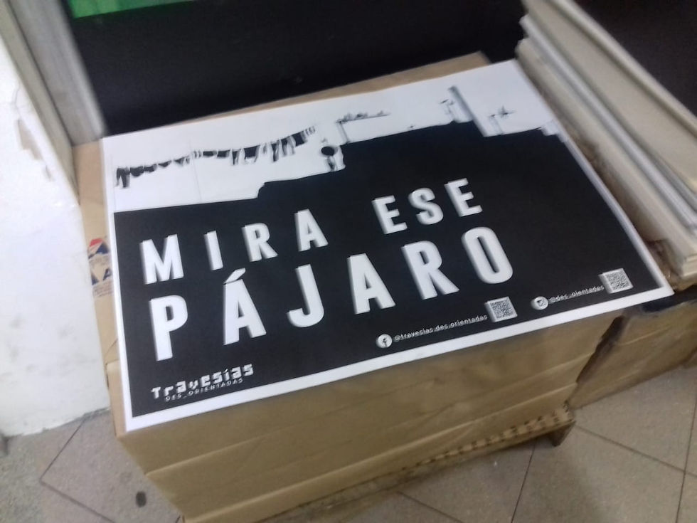 TRAVESIAS DES_ORIENTADAS