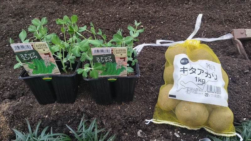 ちょっと早いかな！？