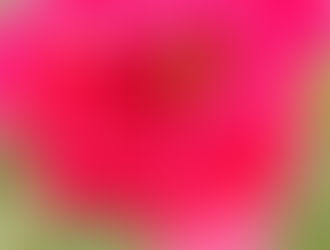 チューリップも終わり、、、