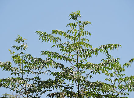 DSCN5665.JPG