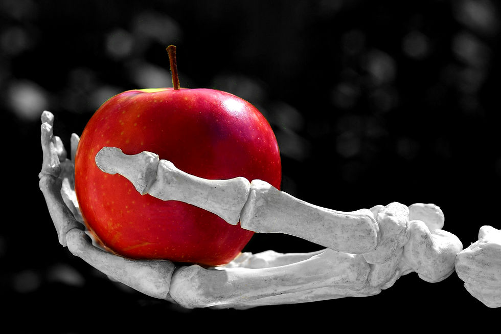 https://pixabay.com/photos/apple-hand-bone-snow-white-poison-3483512/